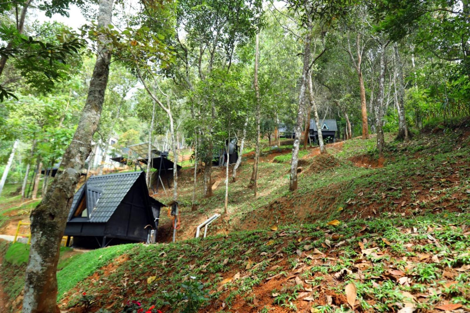 Garden Of Eden-Thottam Munnar-Hiking And Camping Anachal Exteriör bild