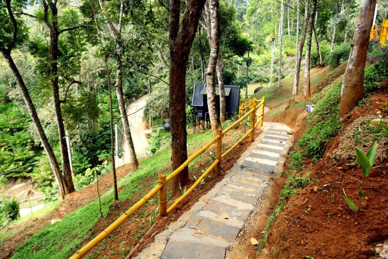 Garden Of Eden-Thottam Munnar-Hiking And Camping Anachal Exteriör bild