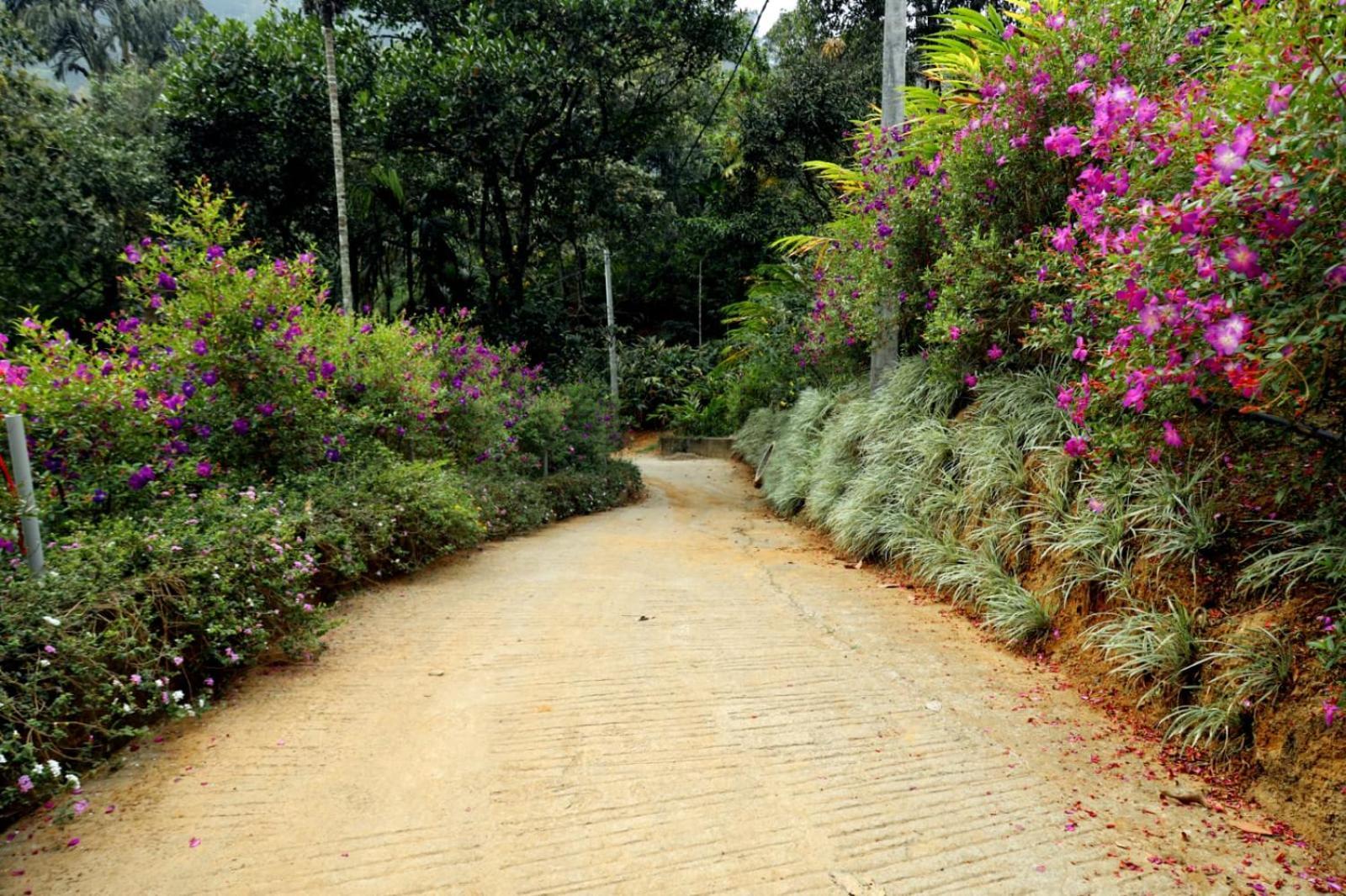 Garden Of Eden-Thottam Munnar-Hiking And Camping Anachal Exteriör bild