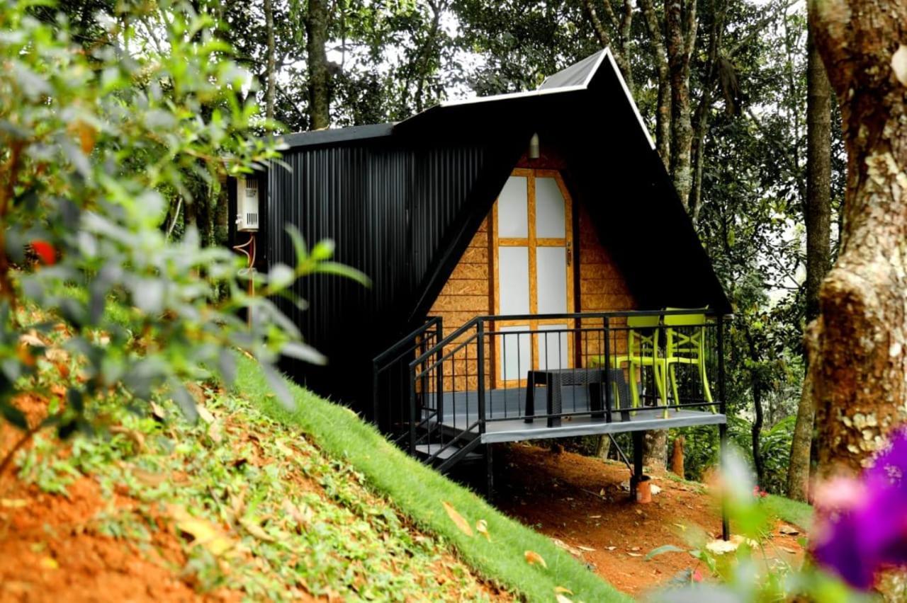 Garden Of Eden-Thottam Munnar-Hiking And Camping Anachal Exteriör bild
