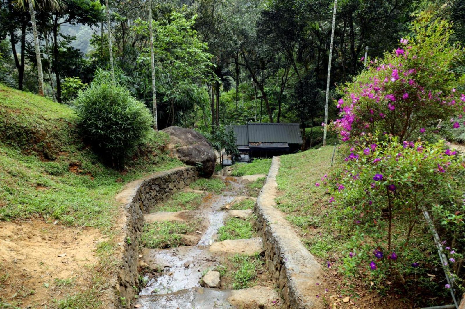 Garden Of Eden-Thottam Munnar-Hiking And Camping Anachal Exteriör bild