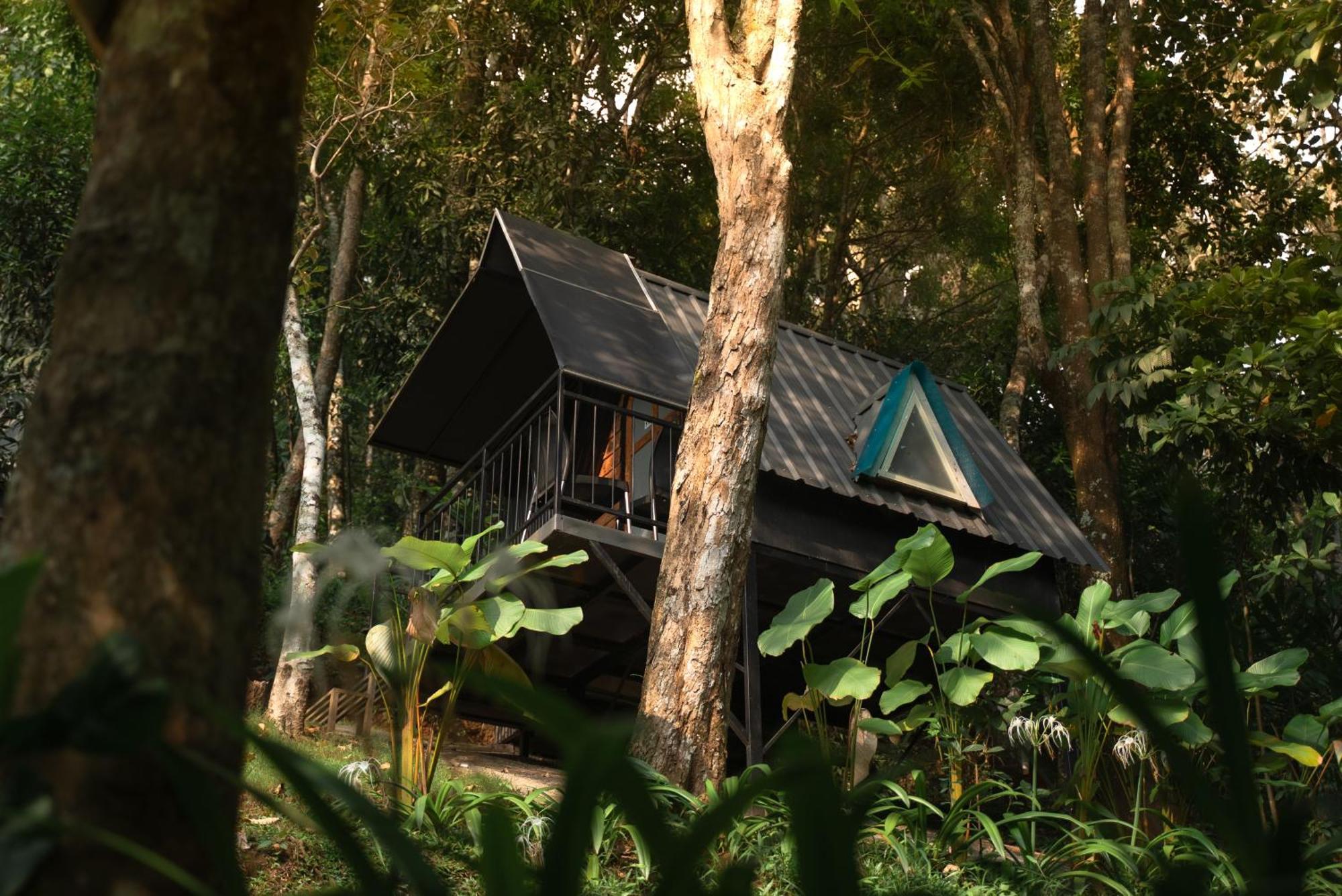 Garden Of Eden-Thottam Munnar-Hiking And Camping Anachal Exteriör bild