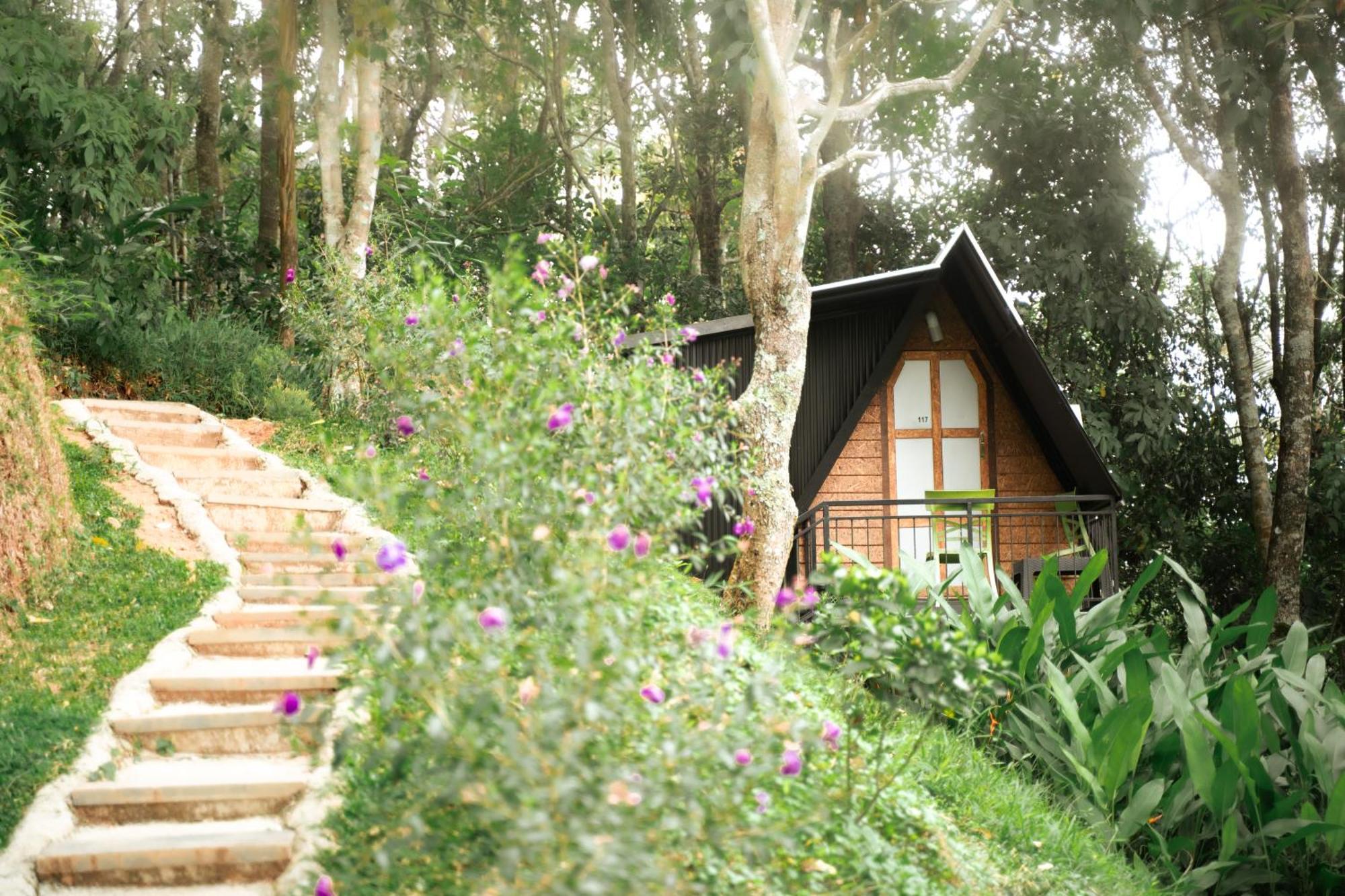 Garden Of Eden-Thottam Munnar-Hiking And Camping Anachal Exteriör bild