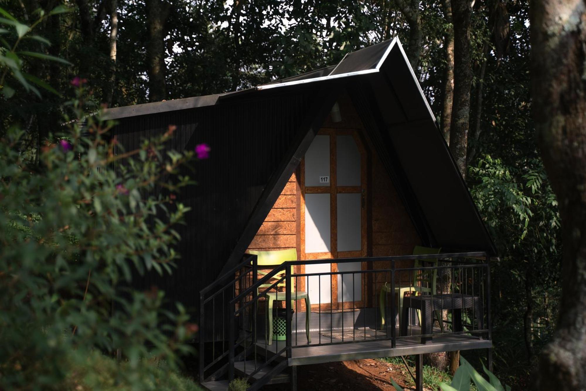Garden Of Eden-Thottam Munnar-Hiking And Camping Anachal Exteriör bild