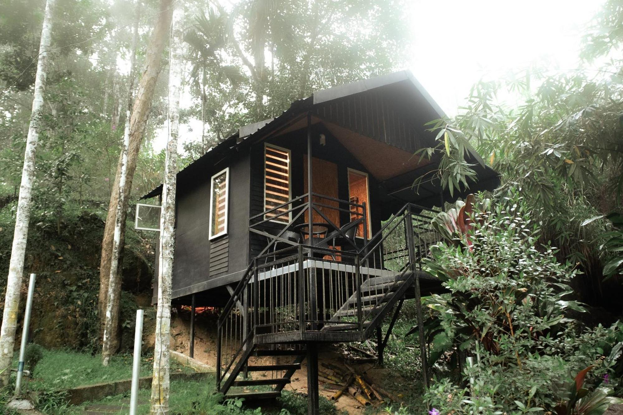Garden Of Eden-Thottam Munnar-Hiking And Camping Anachal Exteriör bild